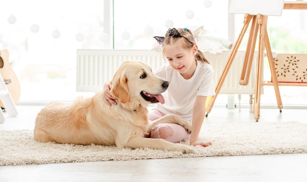 Innovative technology empowers the development of the industry, and the Rubik's Cube Eye makes a wonderful appearance at the 26th Asian Pet Show